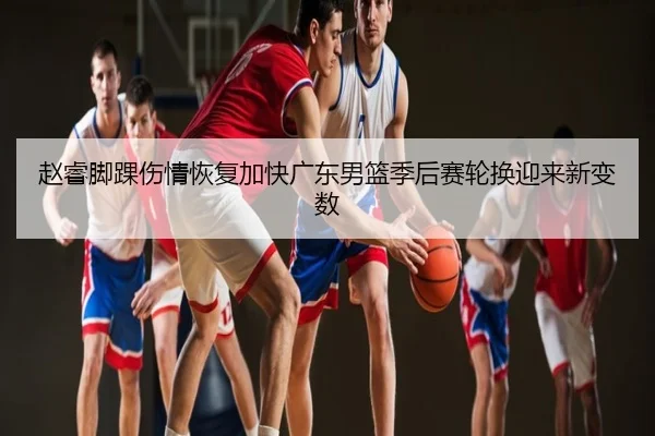赵睿脚踝伤情恢复加快广东男篮季后赛轮换迎来新变数